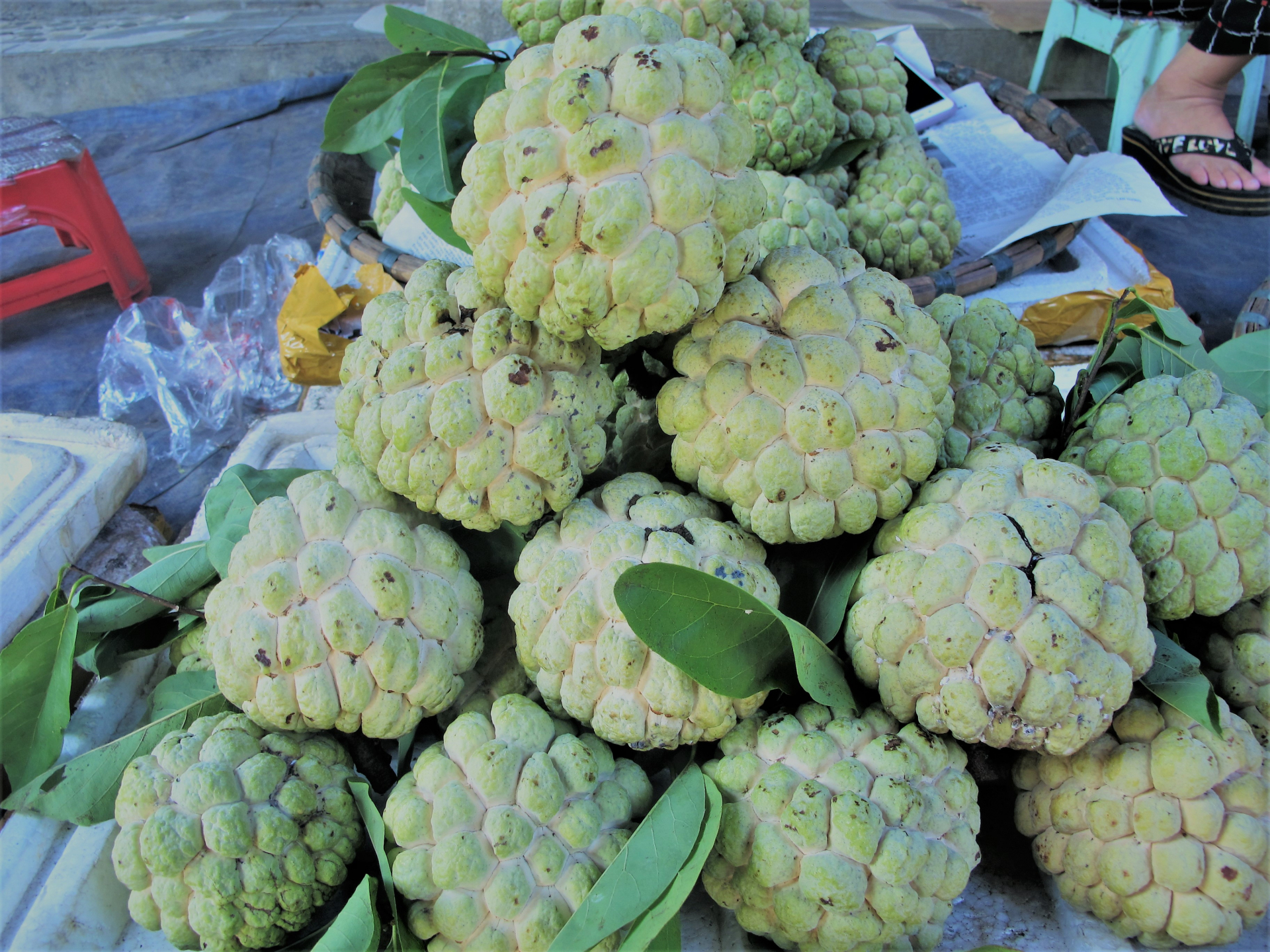 Na núi đá Quang Trung