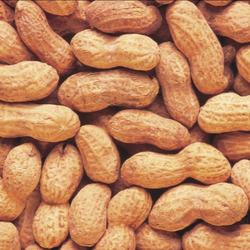 Lạc