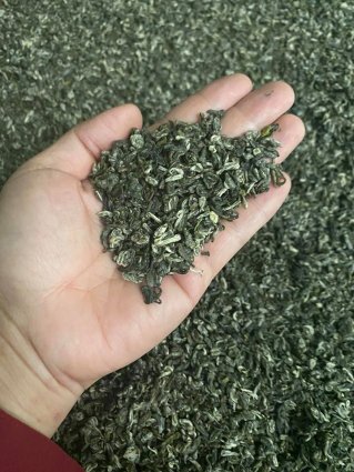 Trà Lĩnh Sơn