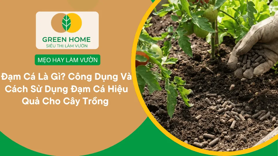 Đạm Cá Là Gì? Công Dụng Và Cách Sử Dụng Đạm Cá Hiệu Quả Cho Cây Trồng
