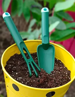 Vật Tư Chăm Sóc Hoa Hồng Chất Lượng Cao, Giá Hợp Lý